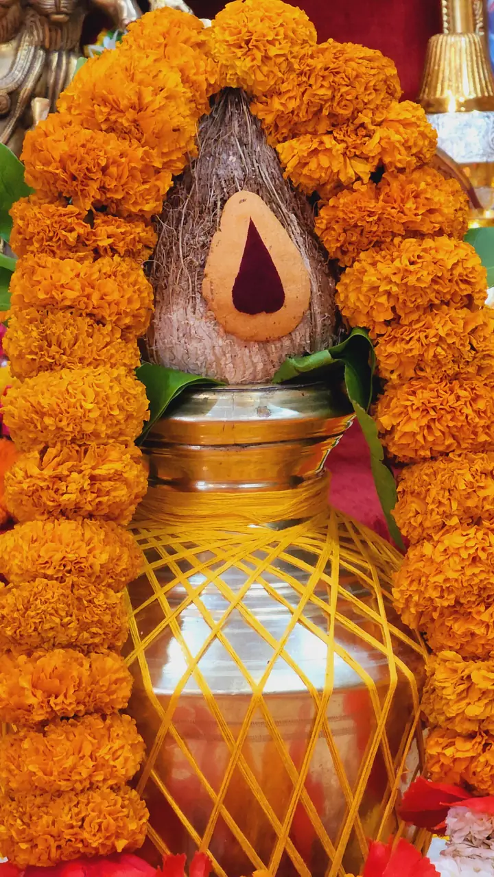 Durga Homa & Pooja by YagyaSeva pandits – photo 6